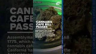 California Assembly passes AB 1775 to legalize cannabis cafes, heads to Senate