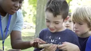 Education at Mass Audubon