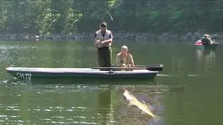 Pecanje smuđa i štuke na varalicu u Austriji - jezero na reci Kamp | Fishing zander and pike Austria