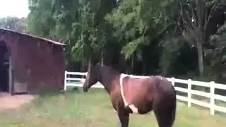summer cool down