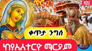 Live‼️ቀጥታ ርጭት‼️ጥር👈‼️21👉ንግስ‼️ከየአሰተርዮ ማርያም👉ሼር ሰብስክራይብ በማድረግ የአሞን ሚዲያ ቤተሰብ ይሁኑ።