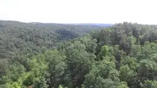 53.7 KY acres on the Sheltowee Trace Trail!