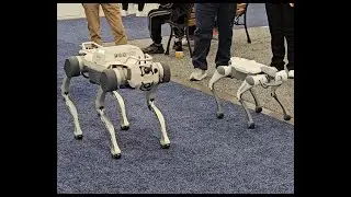 DEEP Robotics Robot Dogs at CES 2025