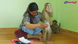 Smart Kako & Luna Wearing Diaper With Clothes