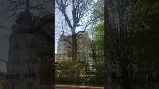 Paris Walking Tour Explore Streets and Neighborhoods Virtual City