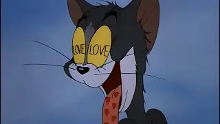Tom The Lover Boy Compilation 💕 | Tom & Jerry Funny Scenes 