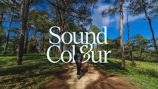 (playlist) you're on your own, kid 🙆&zwj;♀️ :: Sound & Colour Playlist