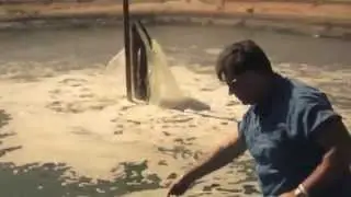 We Are There: Water Defense Investigates Bakersfield, CA Produced Water Used to Irrigate Crops