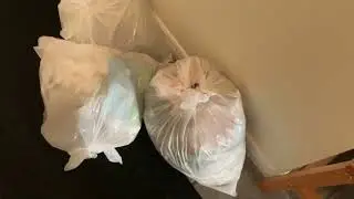 I Hate This: The Garbage