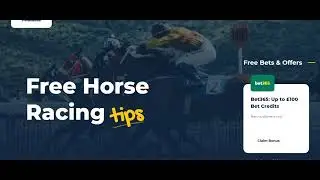 Punter Paradise Premium Horse Racing Tips