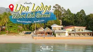 Lipa Lodge Beach Resort 🏖  ที่พักสุดชิลติดหาดลิปะน้อย