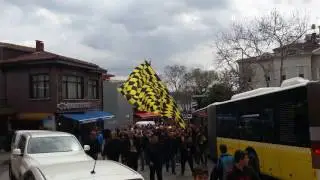 B&Uuml;Y&Uuml;K BEYKOZLULAR