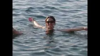 Trips from Aqaba Port - Shaspo Tours