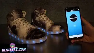 LED LIGHT UP SHOES - APP CONTROLLED - SOUND RESPONSIVE OPTIONS for your LED Shoes - at BLINKEEZ.COM