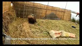 Rondreis Peru, dag 9, Boottocht Titicacameer en bezoek aan eilanden, LLachon Santa Maria en Uros
