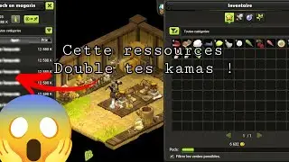Doublez Vos Kamas Rapidement Avec Le M&eacute;tier de Paysan ! Astuce Kamas Sur Dofus Touch