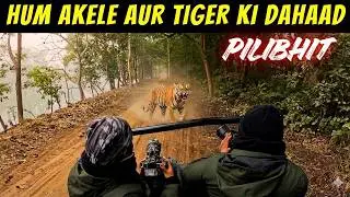 TIGER GROWLS NEXT TO US IN PILIBHIT JUNGLE SAFARI | BEST ZONE IN PILIBHIT