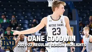 Dane Goodwin Regular Season Highlights | Notre Dame Guard