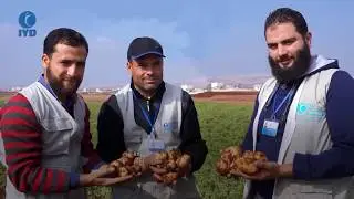 SUPPORT POTATO FARMERS IN THE WESTERN RURAL OF ALEPPO (ATAREB)