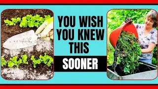 15 Expert Gardening Tips for Beginners That Work Every Time