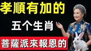 這五個生肖孝順有加，是菩薩派來報恩的孩子！！#修行思維 #修行 #福報 #禪 #道德經 #覺醒 #開悟 #禅修