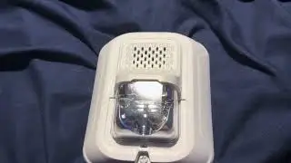 System Sensor CHSWL L Series Xenon Chime strobe 