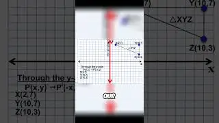 Mirror Reflection Through the Y Axis