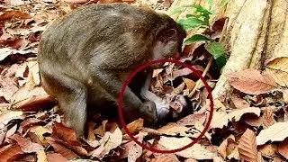 cruel Violat angry baby seriously, Baby just hug mum, Why mum bored much baby like this 321