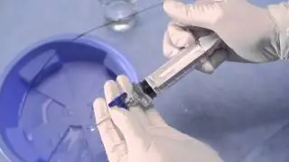 Export Advance Prep and Use