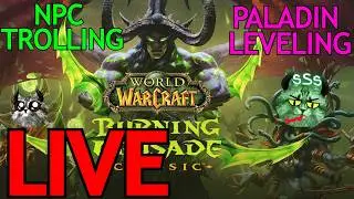 WOW TBC - PALADIN PRE RAID GEARING - REP FARMING