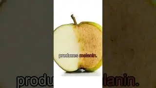 Why do apples turn brown? 😨
