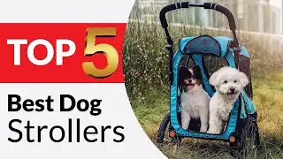 Top 5 Best Dog Strollers in 2026 [Buying Guide]