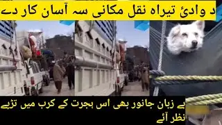 Tirah Valley Situation Explained | Public Displacement Update 🥲! Hussain Shah Pathan New video 