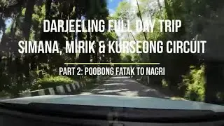 Driving through Nagri Farm Tea Estate | Poobong to Nagri Route [4K]