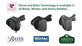 Cheshire Horse Saddle Fitter Explains Horse and Rider Technology (HART)