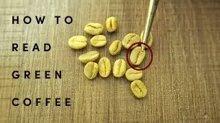 How to read the green coffee bean