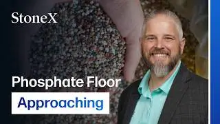 China Export Policy Becomes Crucial as Phosphate Markets Slide Toward Spring
