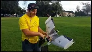 Legit Wing Maiden