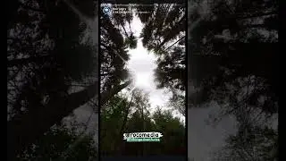 Go for a hike - hiking adventures ​⁠ @ROCOMEDIA