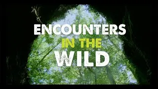 Encounters in the Wild | Georgia Outdoors