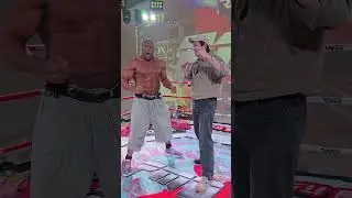 Bob Sapp vs. Peter Denman #bodyshot #kyokushin #punch