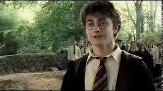 100 points to Gryffindor #memes #shorts