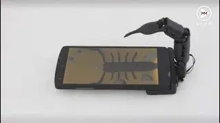 Yes, that&rsquo;s a robotic finger attached to a phone! And why it&rsquo;s creepy?