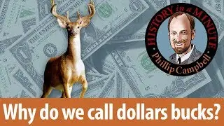 Why Do We Call Dollars Bucks: History in a Minute (Episode 36)