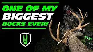 FREAKY GIANT BUCK WITH A BOW!