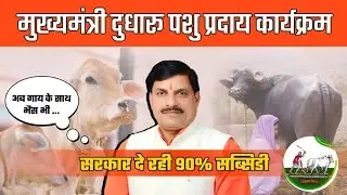 मध्य प्रदेश पशुप्रदाय योजना 2025 | MP Pashupalan Loan Yojana | Pashupalan Loan Yojana MP 2025 #kisan