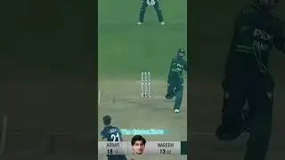Pakistan vs New Zealand | Thrilling Moments from the Match|#Cricket #PAKvNZ . #T20 .#ODI . #Sports