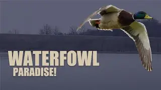 Southeast Kansas Waterfowl Property and More