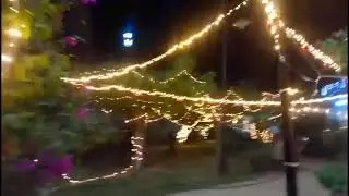 La cumbia del pato derechos de la m&uacute;sica May Chavez Sanchez 🤗