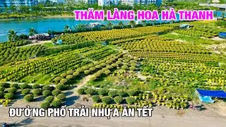 QUY NHƠN NHỮNG NGÀY CUỐI NĂM | LÀNG HOA TẾT HÀ THANH | SỬA ĐƯỜNG ĐÓN TẾT